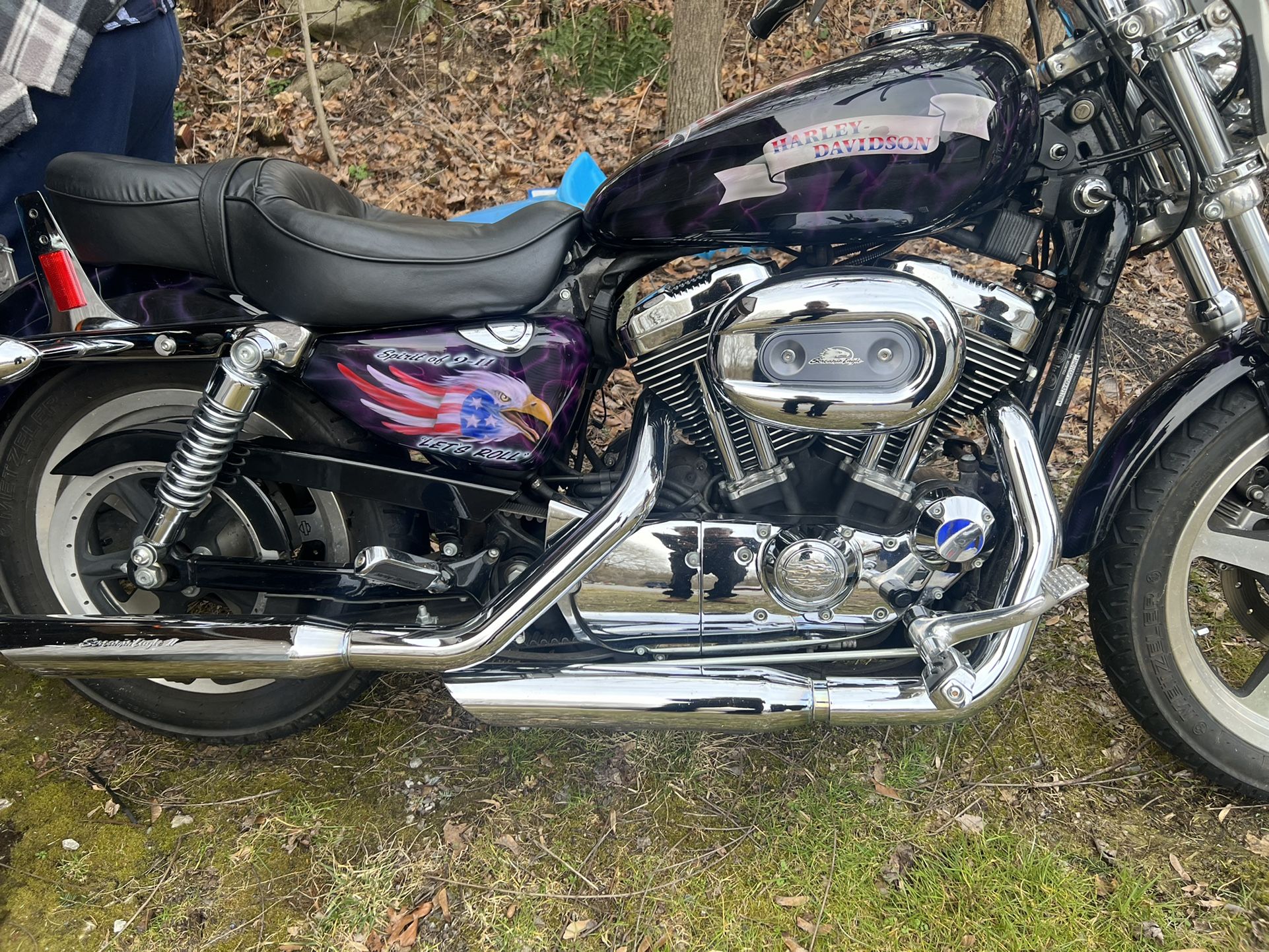 2006 Harley Davidson Sportster