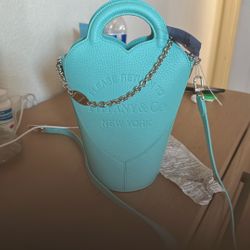 Rare Viral Tiffany & Co Bag 