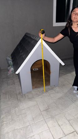 Dog House