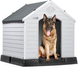 Dog House