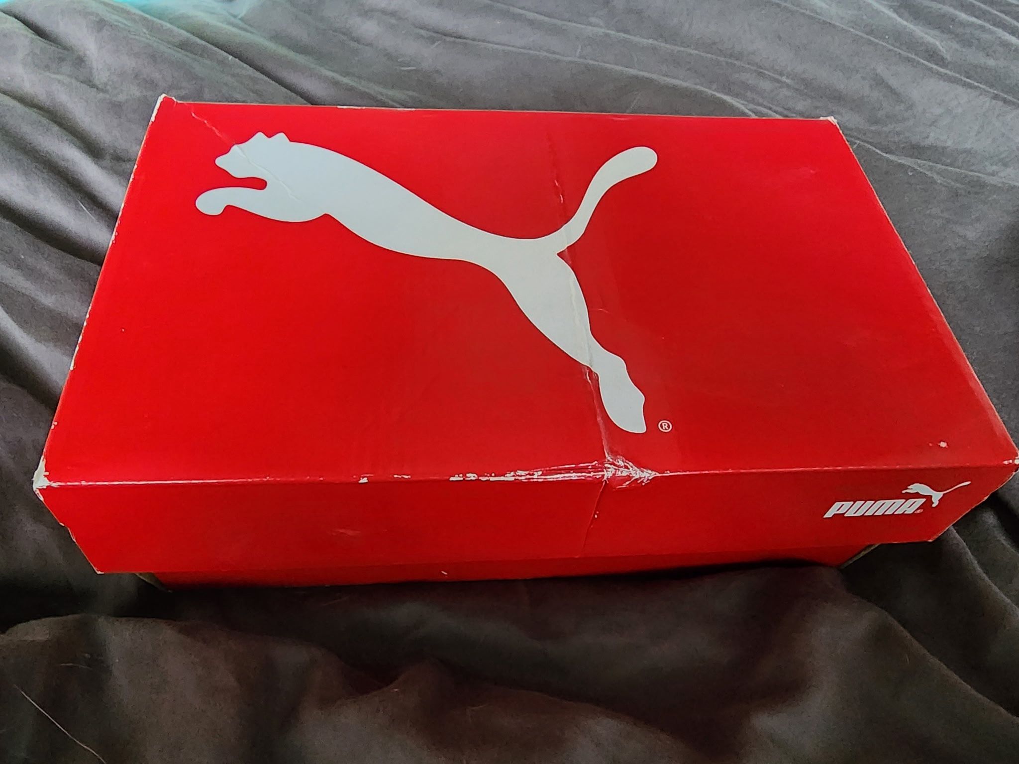 Sky Blue Pumas