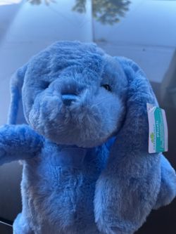 Blue bunny
