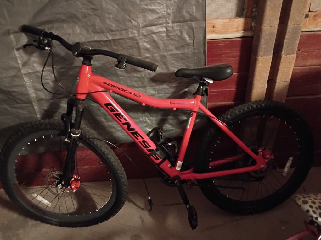 Saracino Genesis Bike(Stone  Series)For Parts