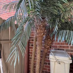 Palm Tree Decor With Base