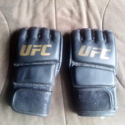 UFC Gloves 