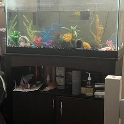 Fish Tank And Stand W/ Decor And Rock