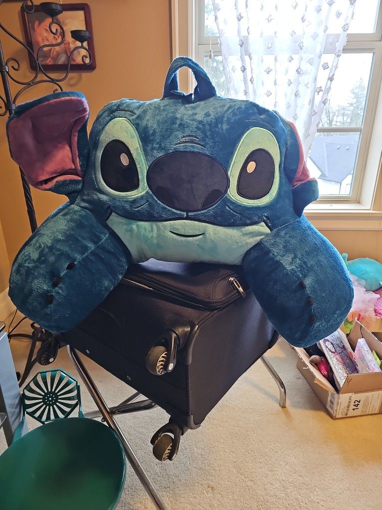 Stitch back pillow.