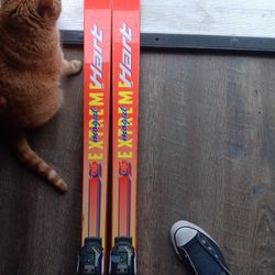Alpine MS 810 Boots And Hart Skis