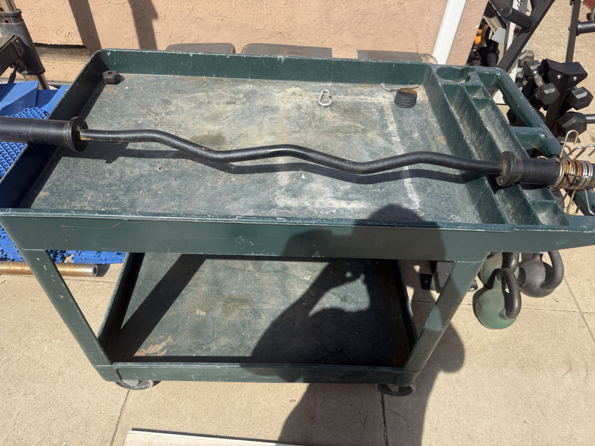 Olympic Curl Bar