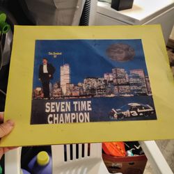Picture $10