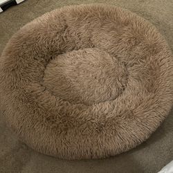 Dog bed 