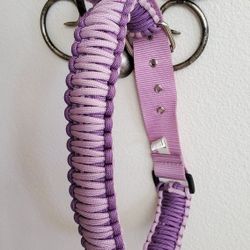 LG DOG COLLAR