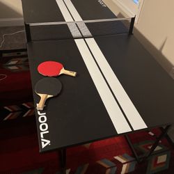 Ping Pong table