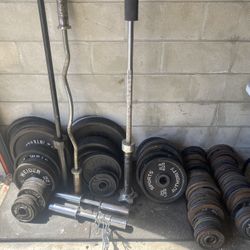 Barbells, Benches, Plates, Dumbells, Racks, And More!