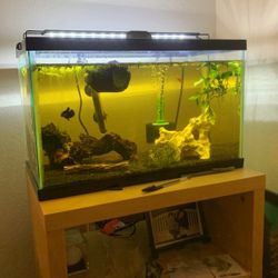 Fish Tank Only