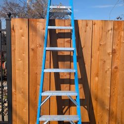 Werner 8 ft 250 lb Ladder 