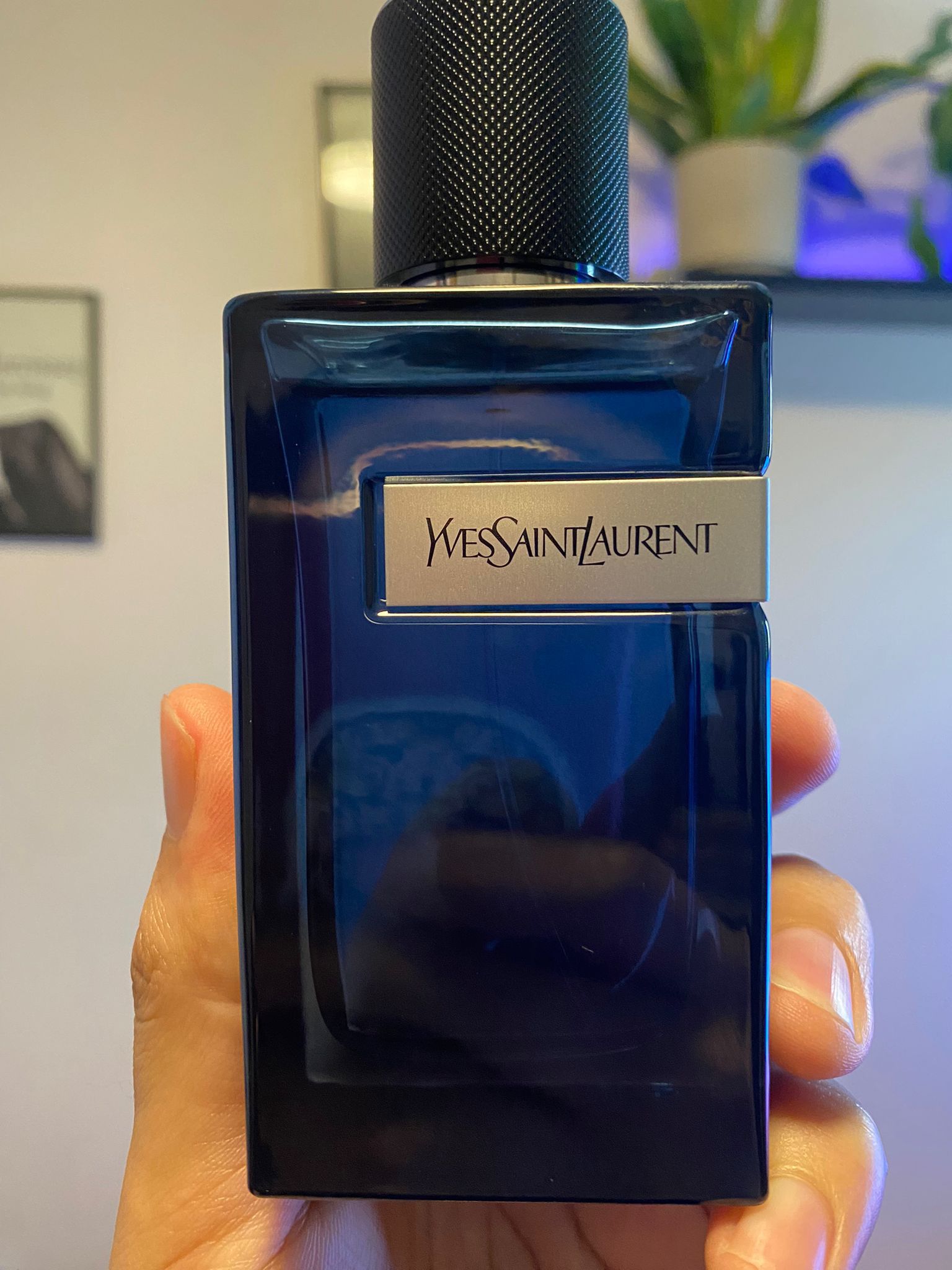 YSL Y Intense for Sale in Crystal City, CA - OfferUp
