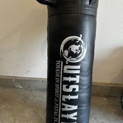 Punching Bag