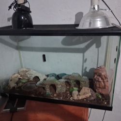 Leopard Gecko Tank
