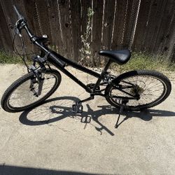 24" Dart BIKE