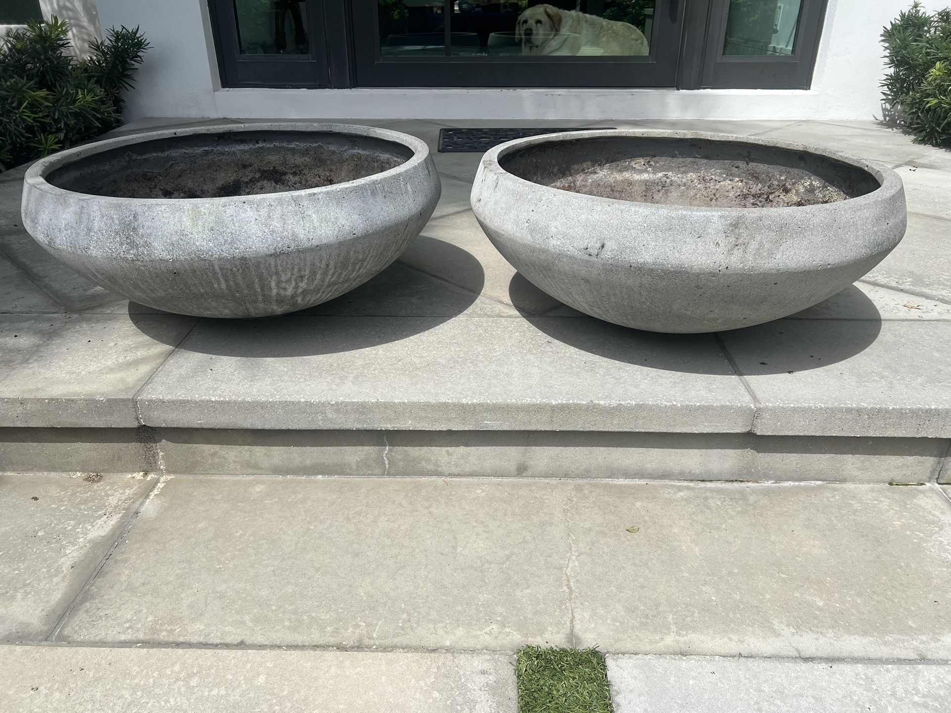 Concrete Flower Pots
