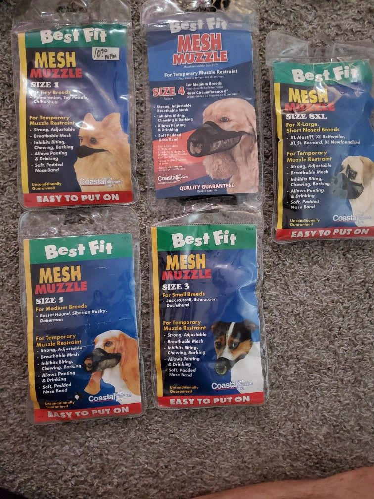 2000$ Worth Of Dog Leashes Collars Outfits Harnesses Etc For 600$