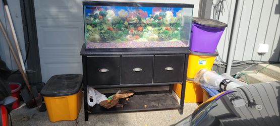 Large Aquarium Fish Tank with Stand