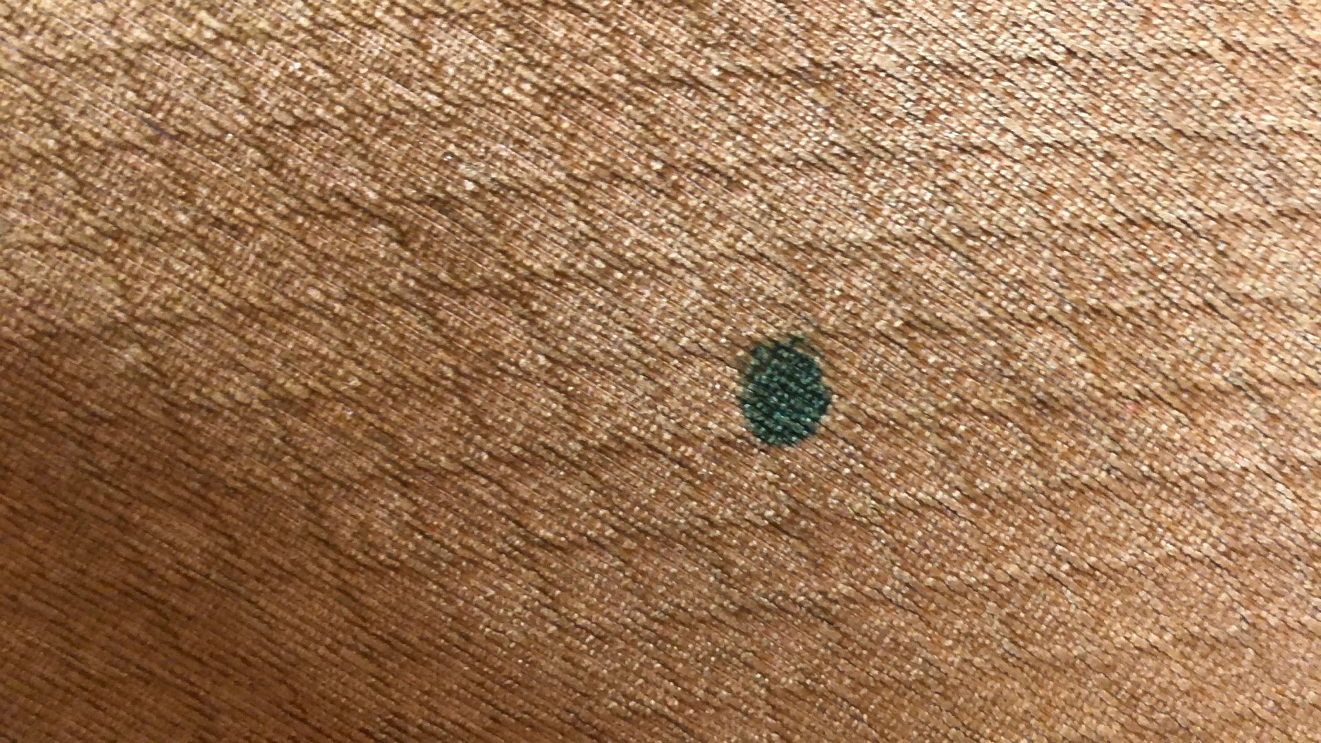 Good Couches Thay Just Need A Little Clean And There Like Brand New