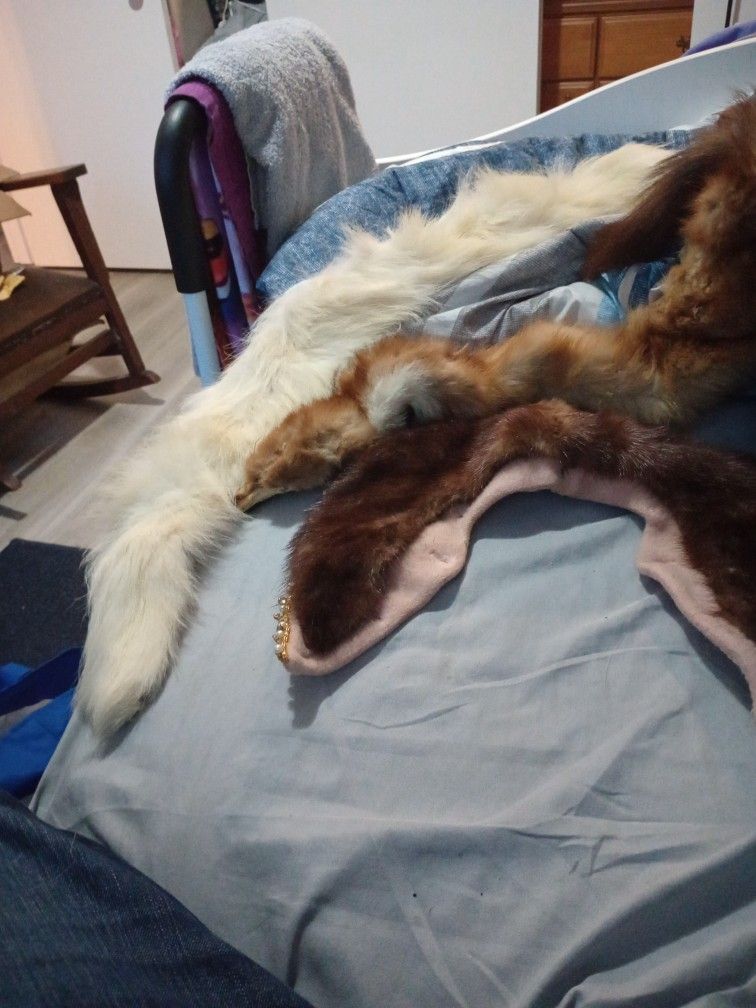 Fur