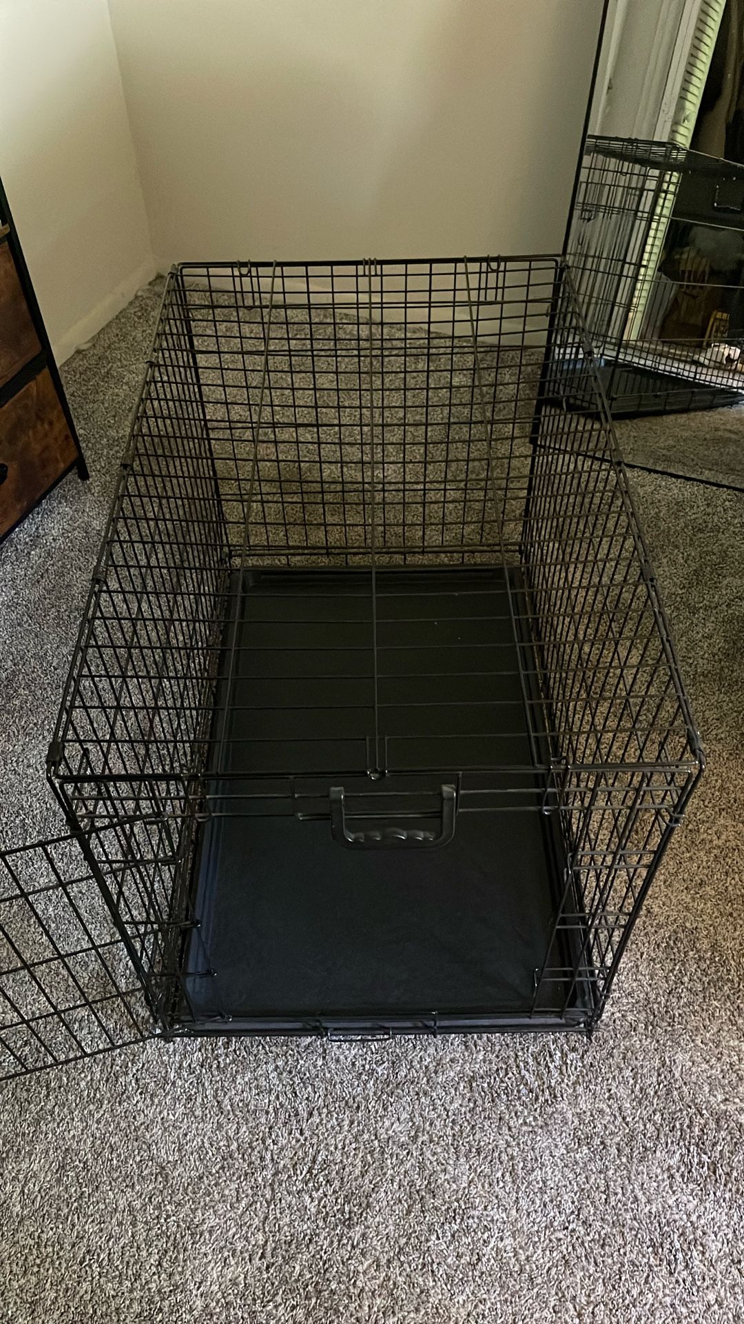 Doggy Kennel