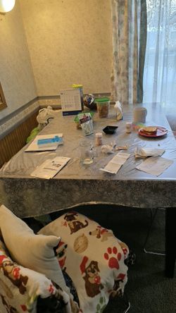 Dinning Table With Chairs And bench