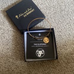 Alex And Ani Bracelet 