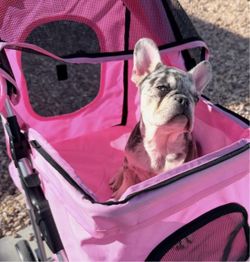 Stroller bed
