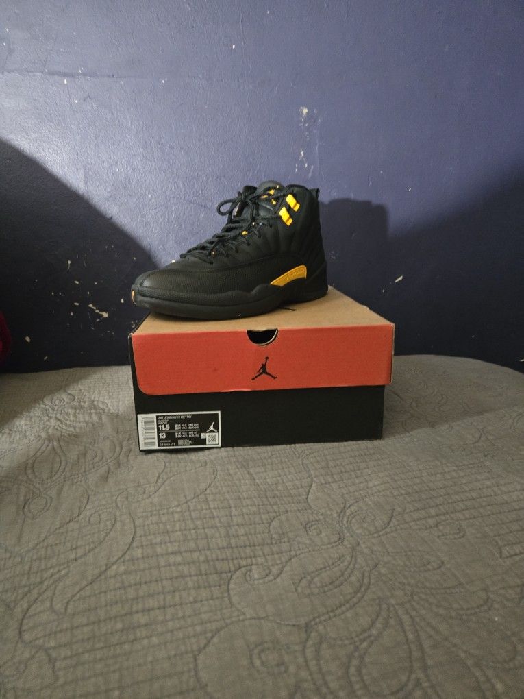 Jordan 12 $150$