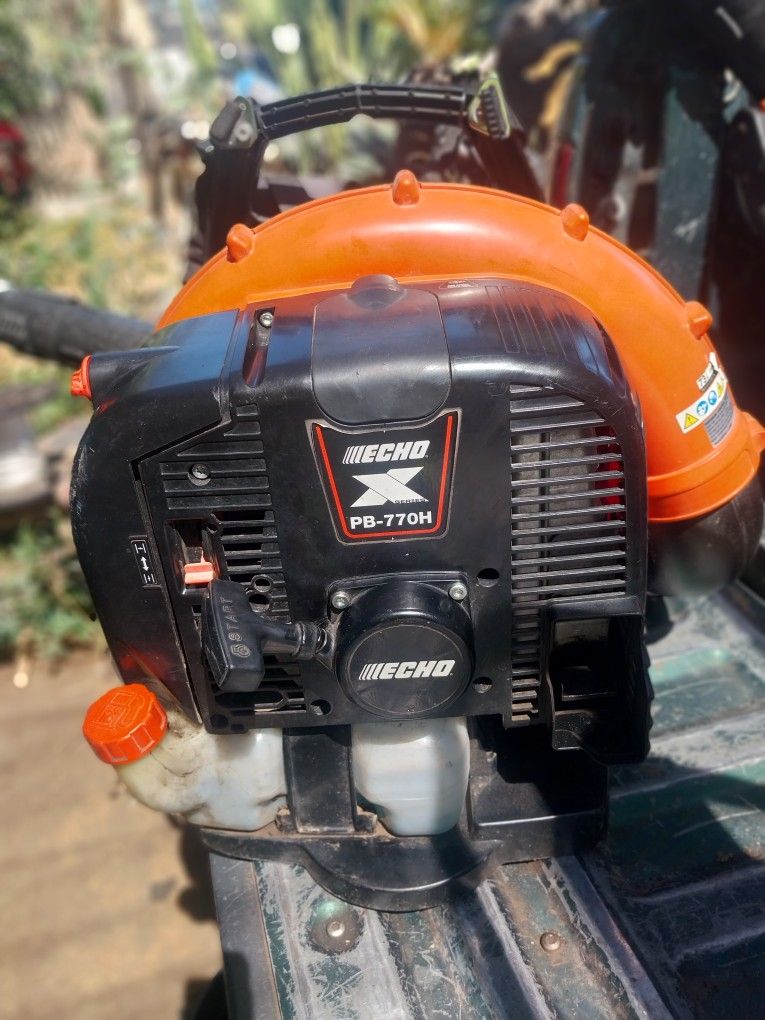 Echo Leaf Blower