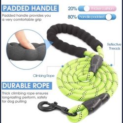 Leash For Dog