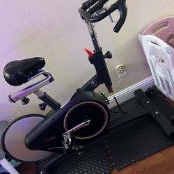 Exercise Bike Fitness 