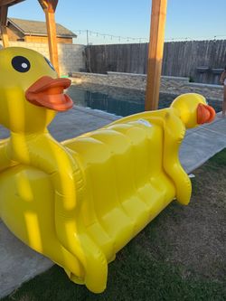 Blow up duck pool slide
