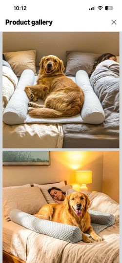 New bed dog bed