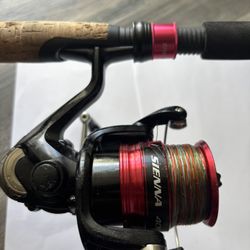 Carrete Y Vara Chimano 