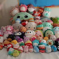 Squishmallow Lot