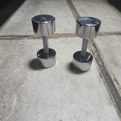 Hand Weight Stainless Steal 20 Pounds
