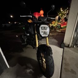 Honda Grom 2024