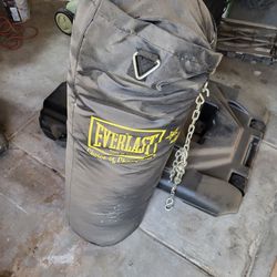 Everlast punching bag with optional rack