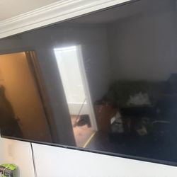 100 Inch 120hz Vision TV 