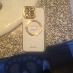 Case