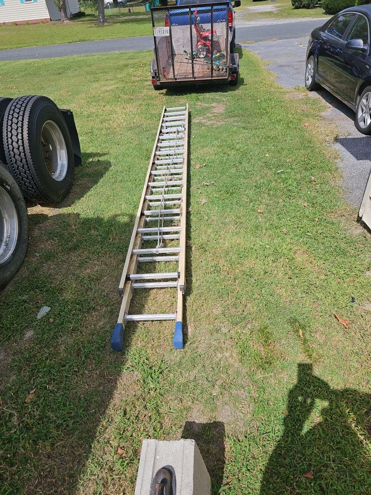 ladder