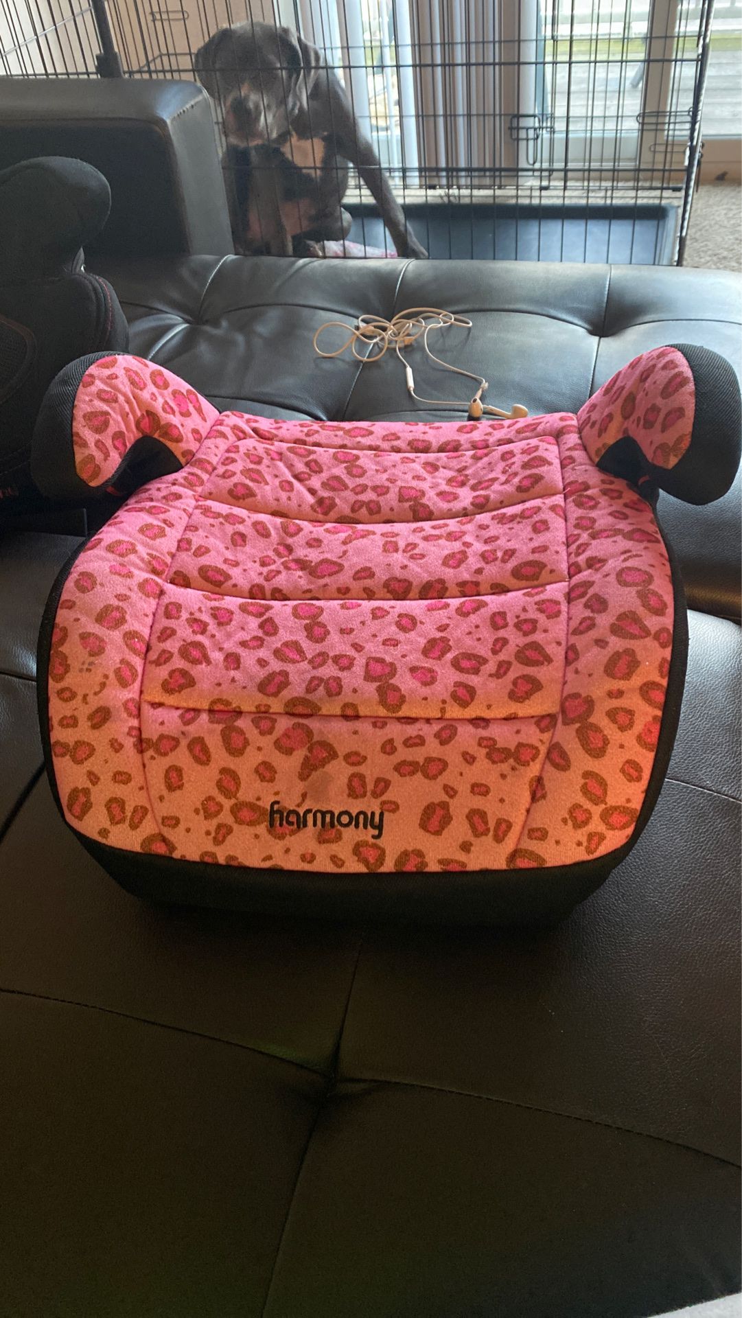 Child’s Booster seat