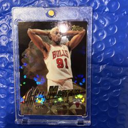 Hobby Masters Dennis Rodman