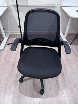 Ergonomic Office Chair